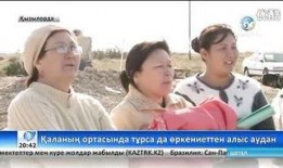 哈萨克最新爆料新闻,揭秘重大政治内幕